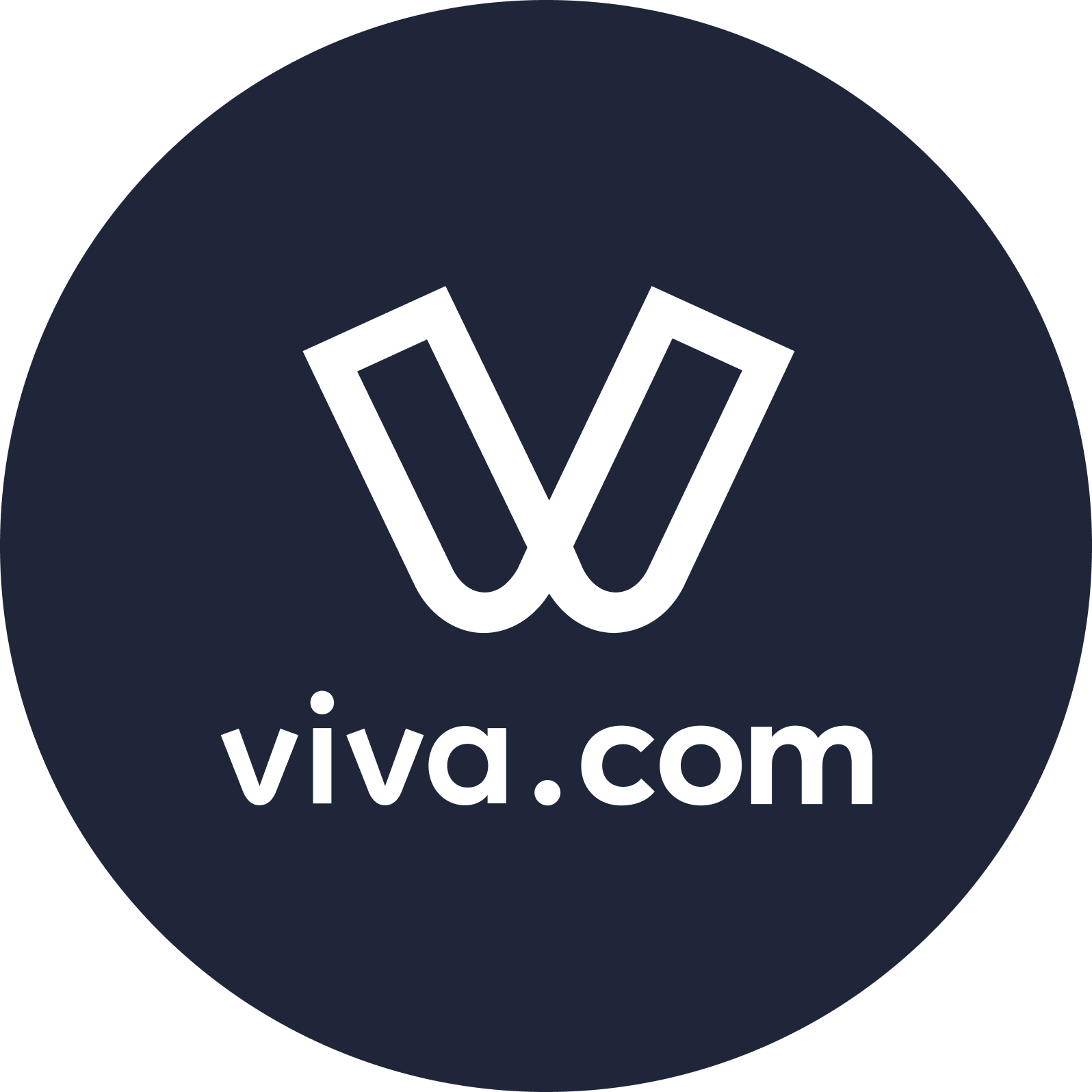 Viva Wallet Logo